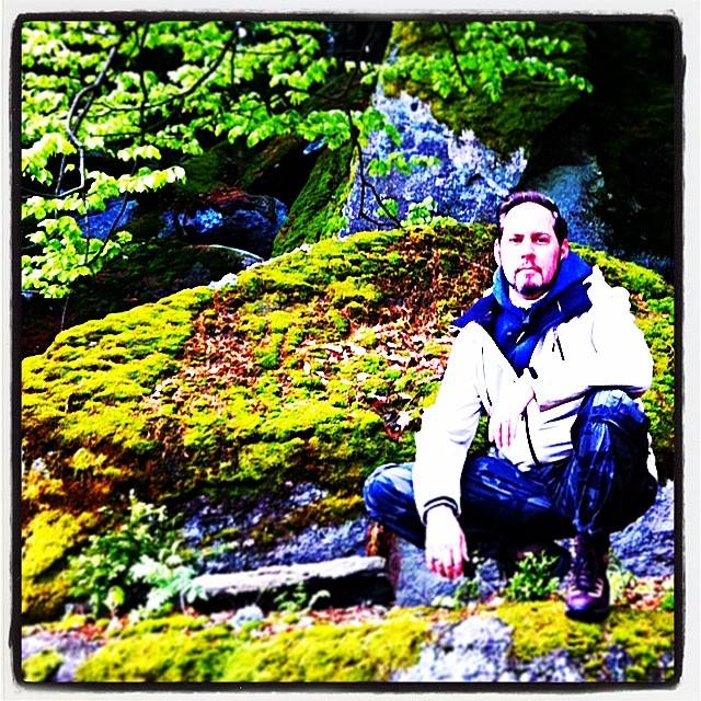 Das Schweigen im Walde