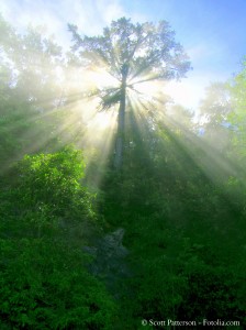 Planet der Auserwählten