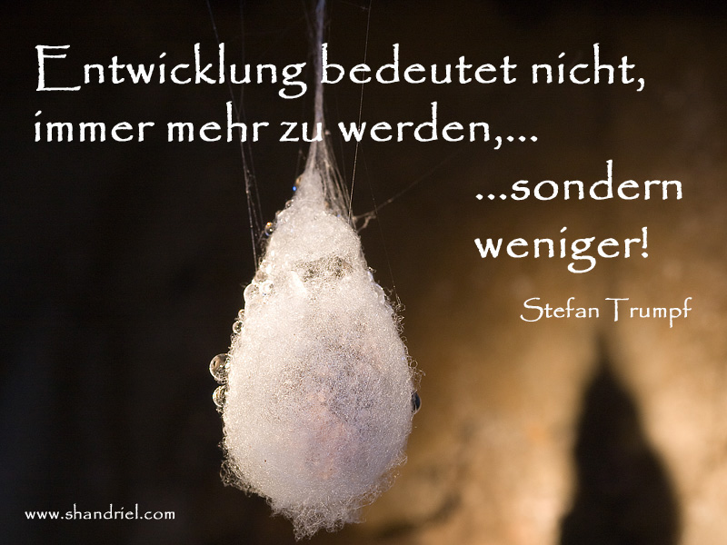 Hopp, hopp, zum Seminar! – Über Seminarhopper und Energiejunkies