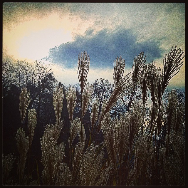 Zeitqualität – Warum ich auf mein Herz höre